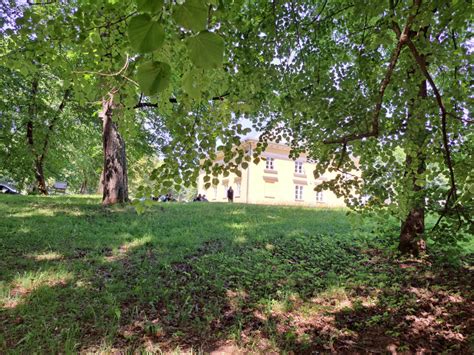 Asmuo, atliekantis mindfulness pratimus gamtoje