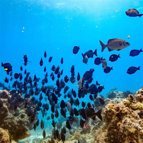 kūdikis vandenyje sapno simbolika