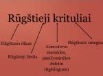 Schema, kaip susidaro Rh antikūniai