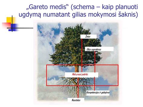 Schematinis vaizdas, kaip vaikas auga kaip medis, įgydamas kompetencijų
