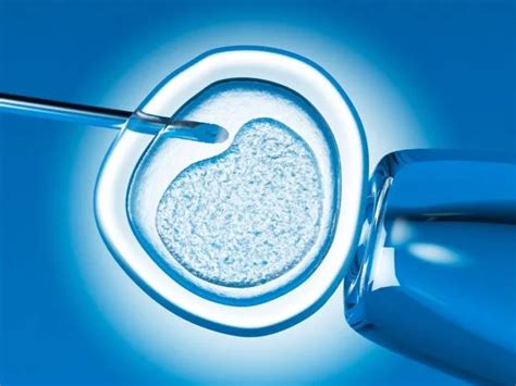 IVF apvaisinimo procesas