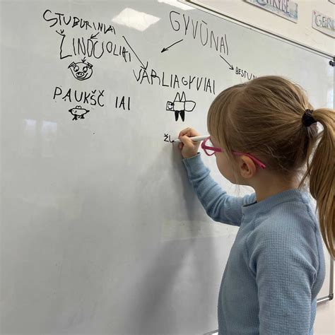 Vaikai tyrinėja gamtines medžiagas matematikos užduotims
