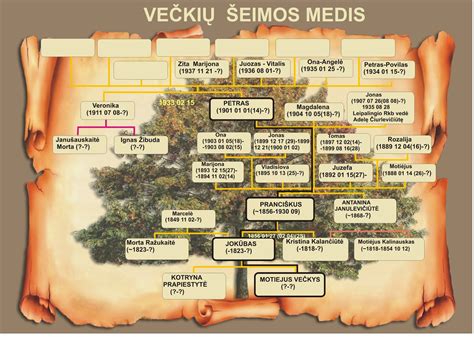 Šeimos medžio simbolis, iliustruojantis kartų ryšį ir ugdymą