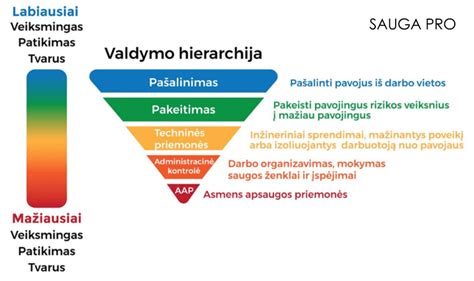 Kvalifikacinių kategorijų hierarchija darželio auklėtojams