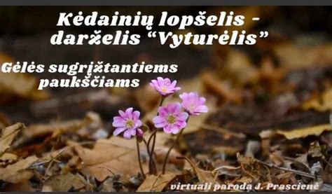 Pastatas Kėdainių lopšelio-darželio 