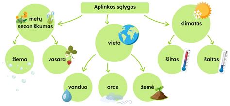Schema, kaip atskiriamos gyvenamosios ir negyvenamosios patalpos