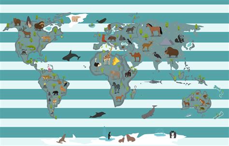žemėlapis su gyvūnų globos namais