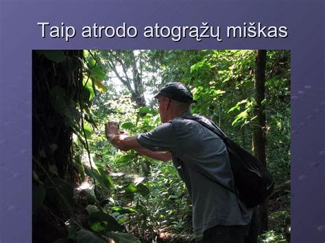 nuotrauka senjorų užsiimančių veikla