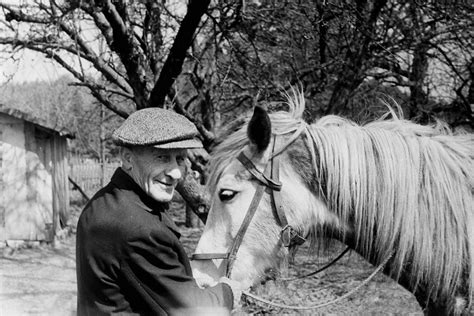 žmonės bendrauja su arkliu