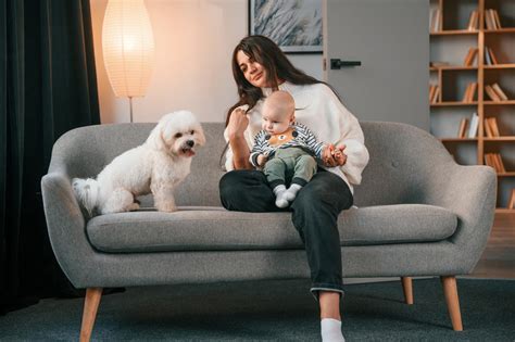 Šuo ir kūdikis žaidžia kartu