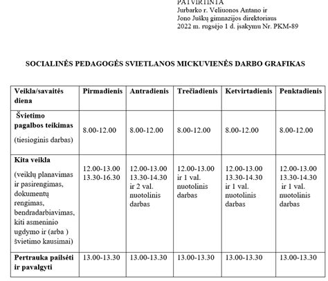 Socialinio pedagogo darbo schema