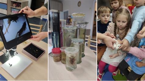 Pedagogas planuoja ugdomąsias veiklas