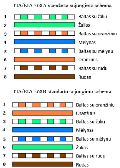 Siamo dvynių galvų sujungimo schema
