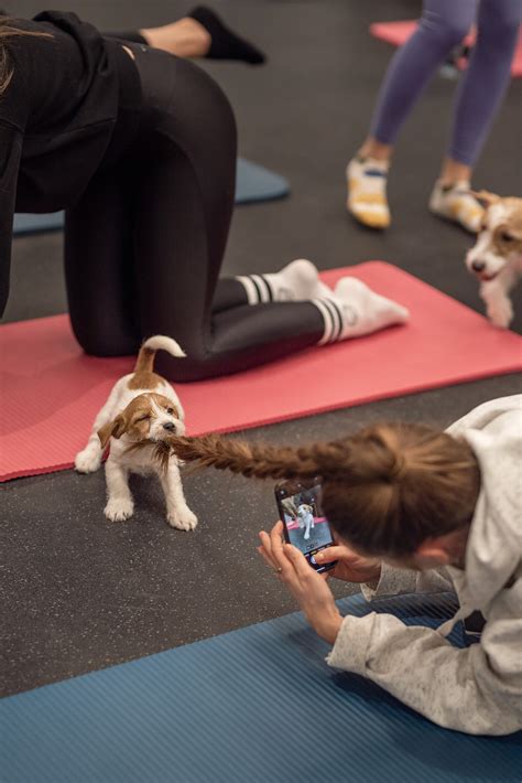 Šunų šeima su mažais šuniukais