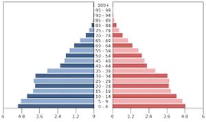 Amžiaus piramidė mokytojų