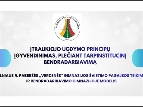 schematinis vaizdavimas ugdymo principų