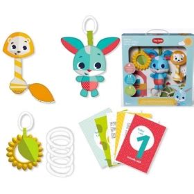 Tiny Love dovanų dėžutė su žaislais