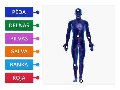 Schematinis žmogaus kūnas su infekcijos židiniais