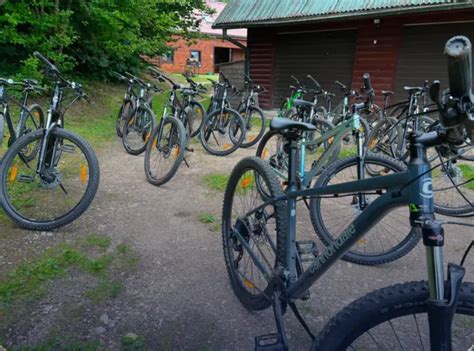 Dviračių nuomos kainos ir paslaugos