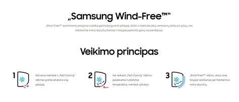 Elektroninės mokinio piniginės veikimo principas
