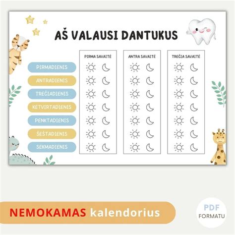 Matmenų brėžinys priekinei žvaigždutei su 17 dantukų