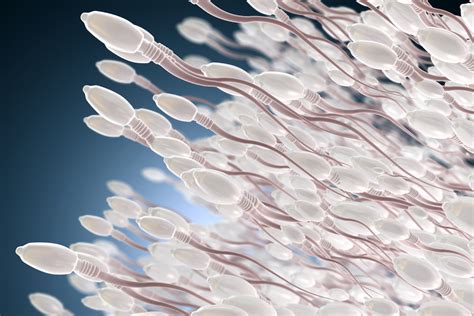 Mikrografija, vaizduojanti spermatozoidų judėjimą
