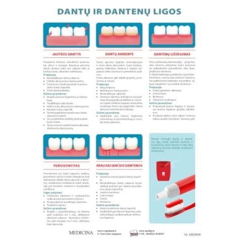 Nėščiųjų dantų ir dantenų problemos