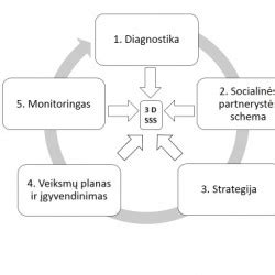 Sumanios socializacijos modelio schema