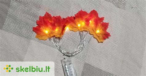 Ruduo gamtoje su spalvingais lapais