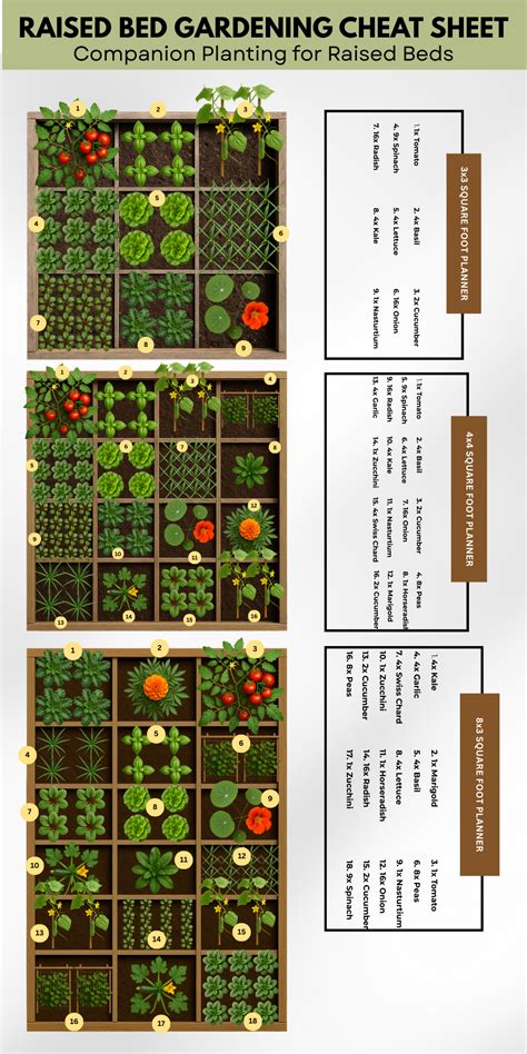 schema of mixed planting in a garden bed