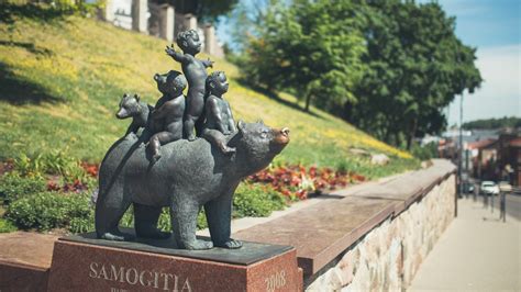 Meška su mažais meškiukais gamtoje