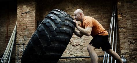 Simbolinė meškos jėga ir apsauga