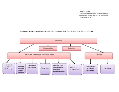 Senjorų paramos ir socialinės globos schema
