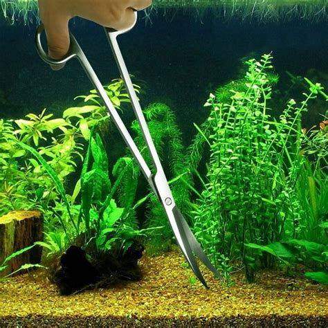 Akvariumo priežiūros priemonės