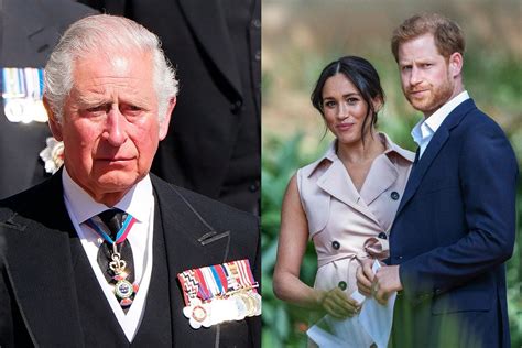 Princas Čarlzas ir jo veikla