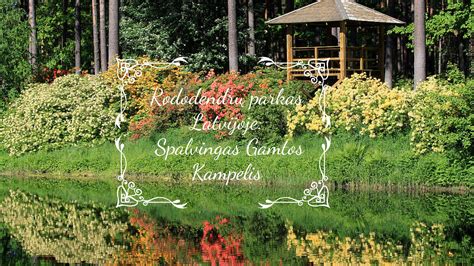 Vaizdingas gamtos kampelis, tinkantis aktyviems žaidimams