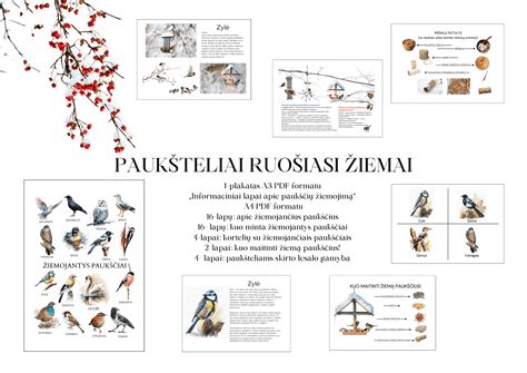 Vaikai stebi ir lesina paukščius