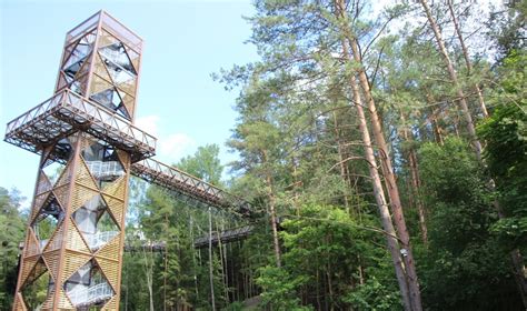 Vaizdas į Anykščių medžių lajų taką