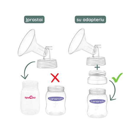 Schematinis pientraukio dalių vaizdas