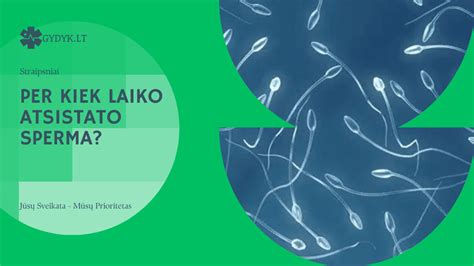 Spermatozoidų judrumo svarba vaisingumui