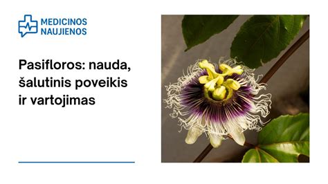 Lentelė: Pasifloros preparatų formos ir vartojimo rekomendacijos