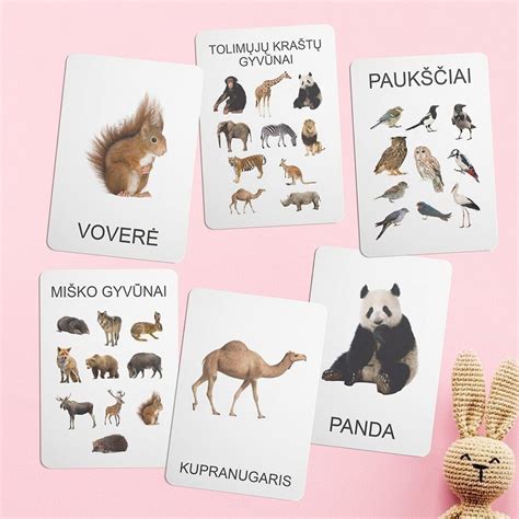 Montessori lavinamosios kortelės su paveikslėliais