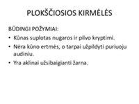 Infografika: vaikų su ADS būdingi požymiai