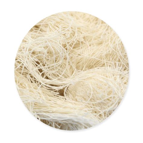 medvilnės pluošto tekstūra