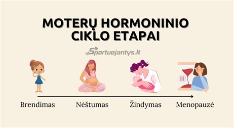 Schematinis moters hormonų lygio pokytis nėštumo metu