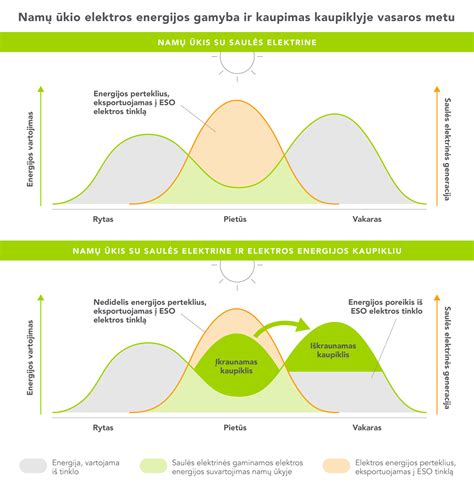 Silantų paskirtis ir naudojimas