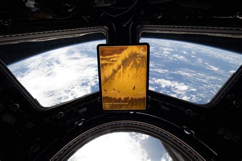 Nuotrauka, vaizduojanti astronautą, rūpinantis augalais kosminėje stotyje