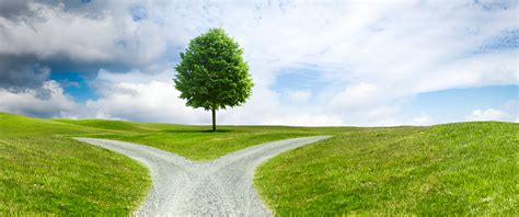 Vazektomijos alternatyvos