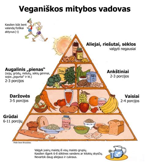 Schema, kaip maisto medžiagos patenka iš motinos mitybos į motinos pieną