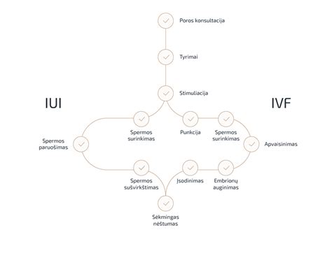 Schema: pagrindiniai pagalbinio apvaisinimo metodai